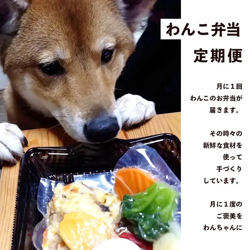 【定期便6回】わんこのお弁当セット Lサイズ