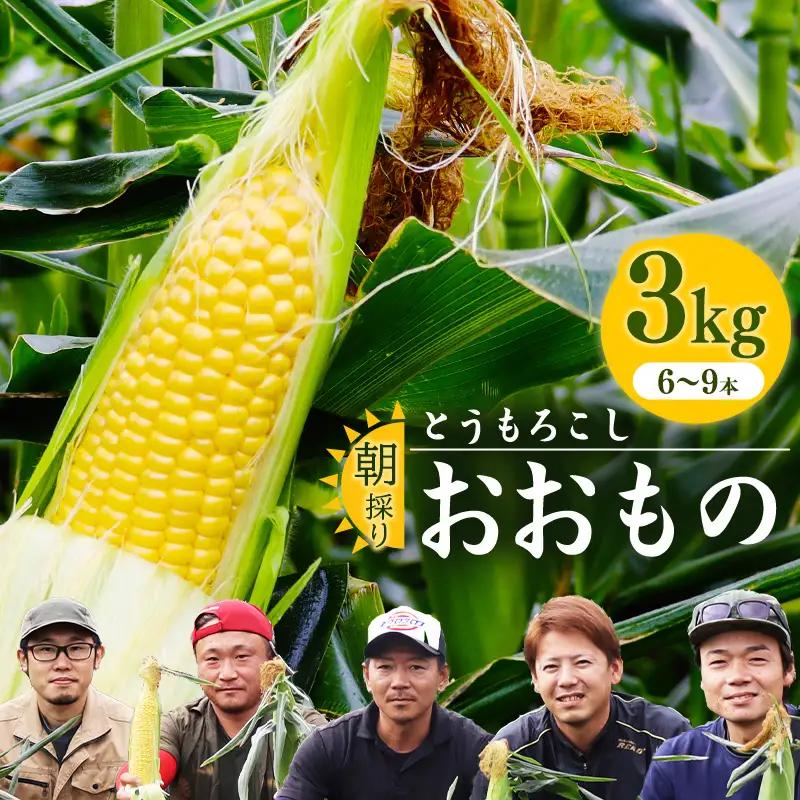 令和8年産 朝採り 農家直送 とうもろこし 3kg「おおもの」山形県産 【2026年9月中旬頃～10月中旬頃発送予定】※ 配送不可 沖縄・離島　010-B-HK021