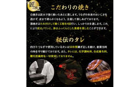 四万十うなぎ 蒲焼き（160g×2本） うなぎ 国産鰻 土用の丑の日 ／Esu-124