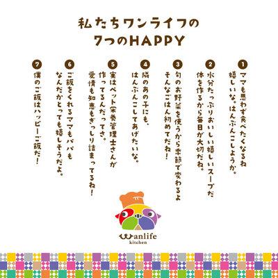 ふるさと納税 四万十市 【6回定期便】国産豚肉と高知野菜のたっぷりスープ 12袋セット×6回(計72袋)ペットフードR6 |  | 03