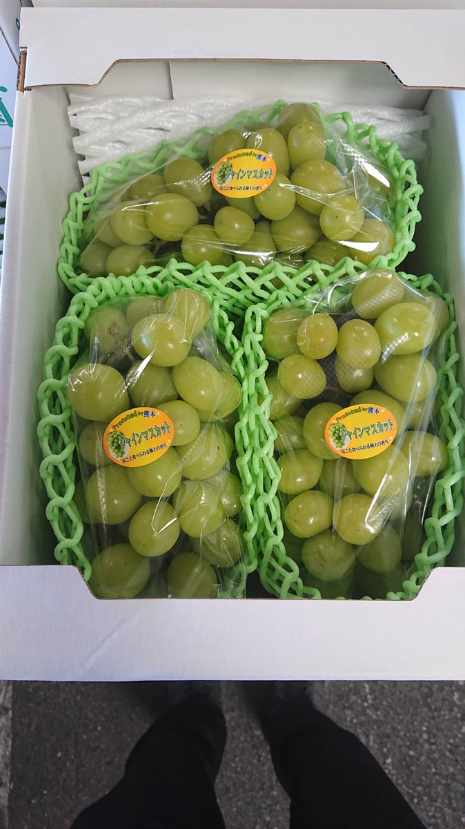 【先行予約】 宇城市産 シャインマスカット 約1.8kg フレッシュダイレクト【2026年7月下旬〜8月下旬頃順次発送予定】