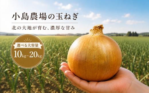 【2026年11月上旬以降発送】 美幌産 たまねぎ 10kg～20kg 令和8年度産 小島農場たまねぎ/ タマネギ 玉ねぎ 玉ネギ 玉葱 オニオン スライス サラダ 野菜 スープ 肉じゃが 煮物 ハンバーグ すりおろし 甘い カレー BBQ バーベキュー 新鮮 旬 国産 訳あり 北海道 美幌町 先行予約 送料無料 数量限定