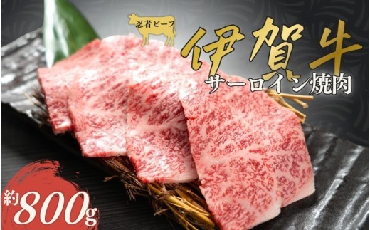 
                  伊賀牛 忍者ビーフ サーロイン焼肉 約800g/ 伊賀牛 忍者ビーフ サーロイン 焼肉 約800g 牛肉 肉 国産牛 和牛 ブランド牛 伊賀牛肉 サーロイン焼肉 焼き肉 やきにく BBQ バーベキュー 肉料理 牛肉料理 サーロイン 高級肉 赤身 脂身 旨み ジューシー お取り寄せ グルメ 冷凍 お肉 食品 家庭用 自宅用 ごちそう 贅沢 焼肉用 牛肉 伊賀 忍者 ビーフ 肉 【cook0001】
                