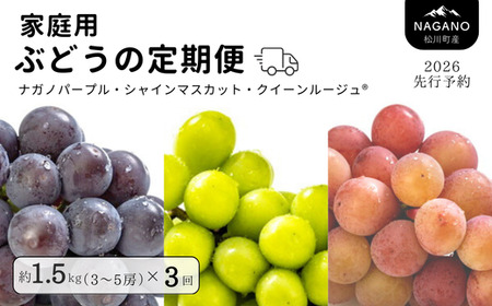 TK33 ぶどうの定期便 【家庭用】 （ナガノパープル／シャインマスカット／クイーンルージュ🄬） 約1.5kg×3回 ／ 2026年9月上旬～10月頃 配送予定 // 長野県 南信州 種なし 皮ごと 定期便 食べ比べ ギフト 新鮮 希少 家庭用 訳あり パープル シャイン マスカット ルージュ クイーン