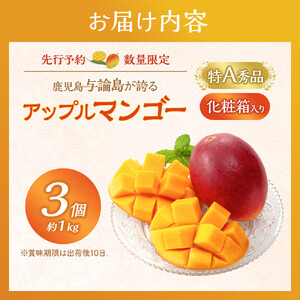 【数量限定】鹿児島 与論島アップルマンゴー特A秀品３個約１kg 化粧箱入り【先行予約】| マンゴー