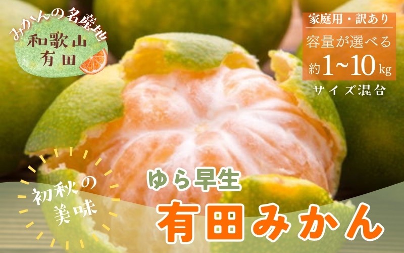 
                  【訳あり・ご家庭用】ゆら早生有田みかん　 ＼容量が選べる／ 約1kg ～ 10kg【2026年10月中旬～11月上旬頃に順次発送予定】
                