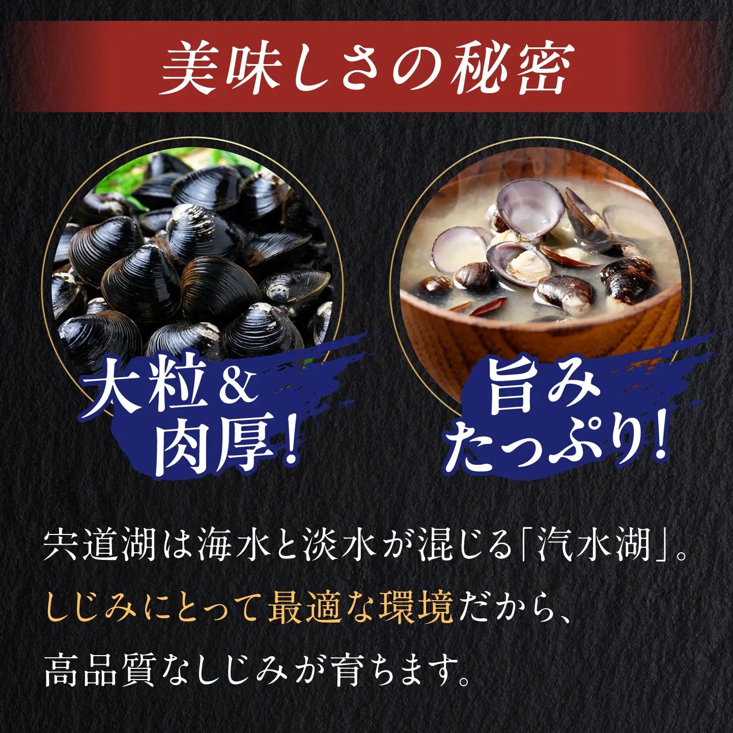 毎日食べたい!宍道湖産大和しじみの即席大粒しじみ汁(赤だし味噌)48g×20袋 島根県松江市/平野缶詰有限会社[ALBZ064]
