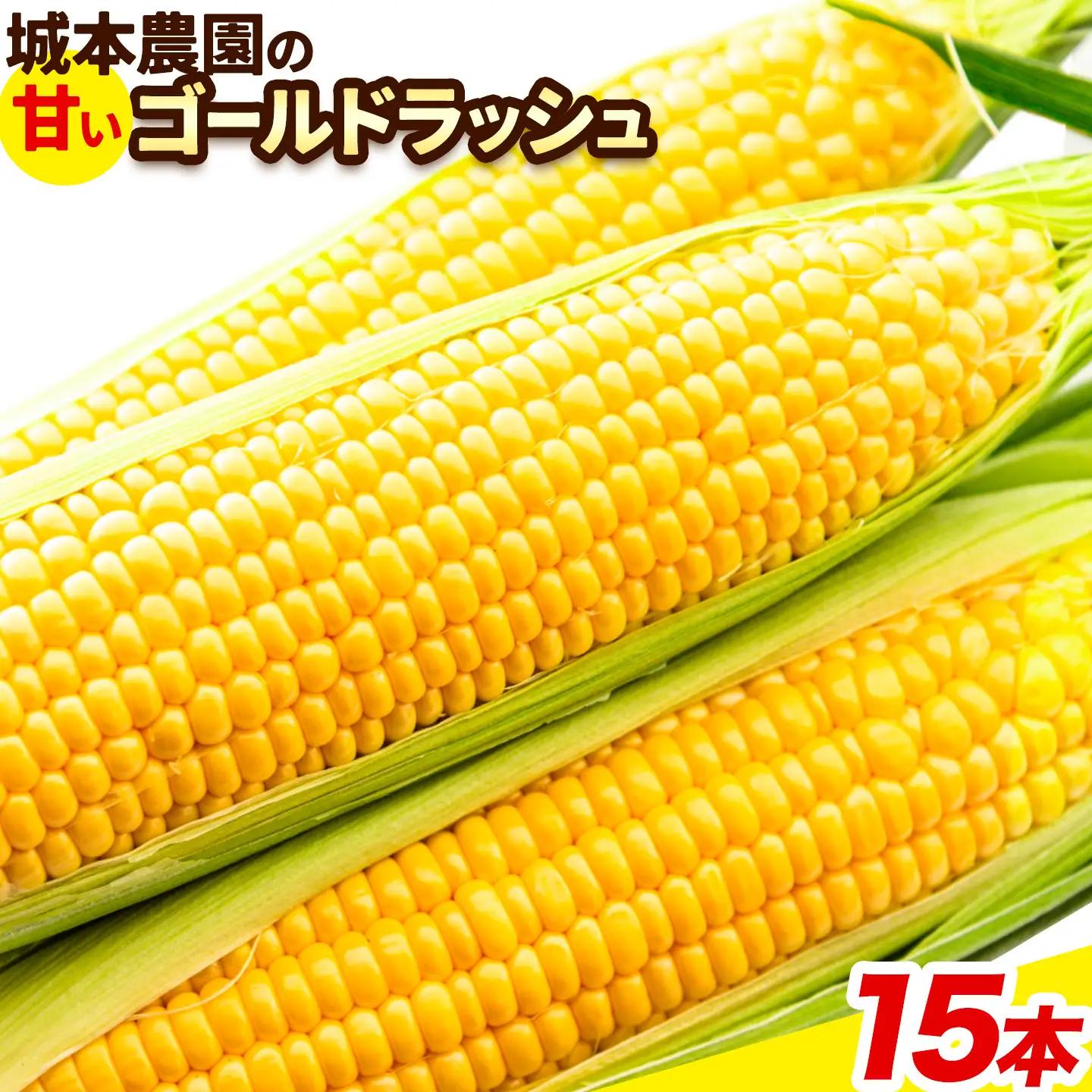 とうもろこし 15本 城本農園 とうもろこし 《2026年7月中旬-8月中旬頃出荷》