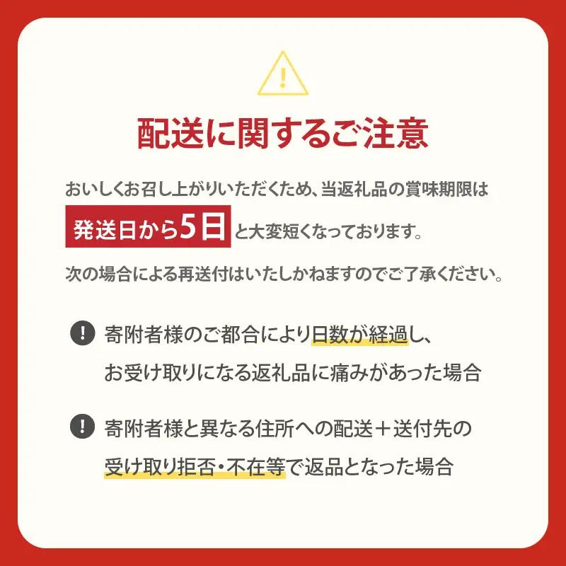 南国プリン「カタセボン(計6個)」 スイーツ 洋菓子 国産_T038-0025
