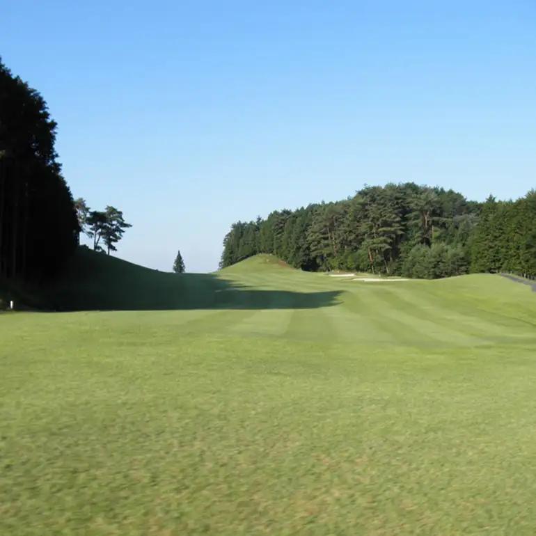 むらさき野カントリークラブ （ゴルフプレー割引券）30枚