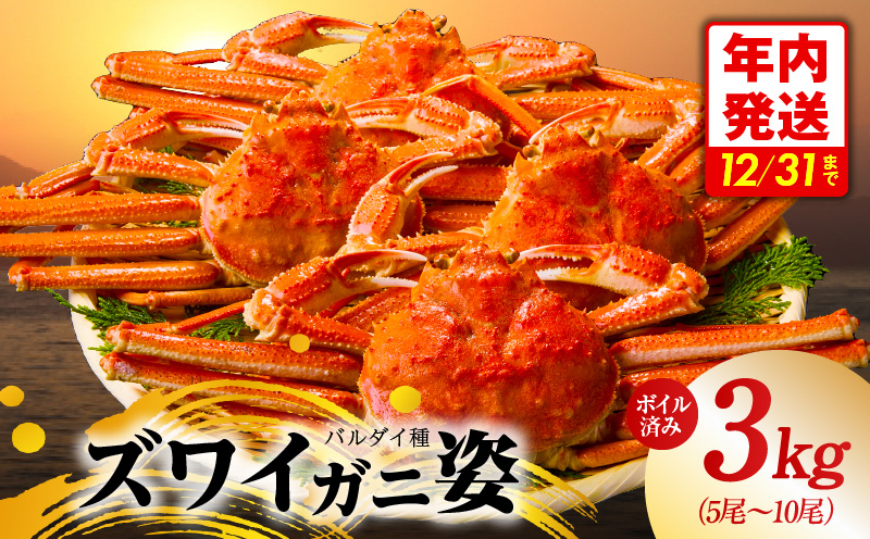 【年内発送】バルダイ種 ズワイガニ姿 3kg（5～10尾）【訳あり規格 ボイル済み オオズワイガニ かに カニ 蟹 ズワイガニ ファミリー向け】 kgp0104y