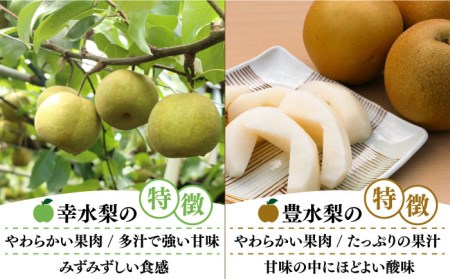 【2024年7月〜発送】【4回 定期便 ！南島原の 梨 を 食べ比べ ！】幸水 豊水 二十世紀 新高 / 梨 なし フルーツ フルーツ定期便 / 南島原市 / 藤原果樹園[SBV005]