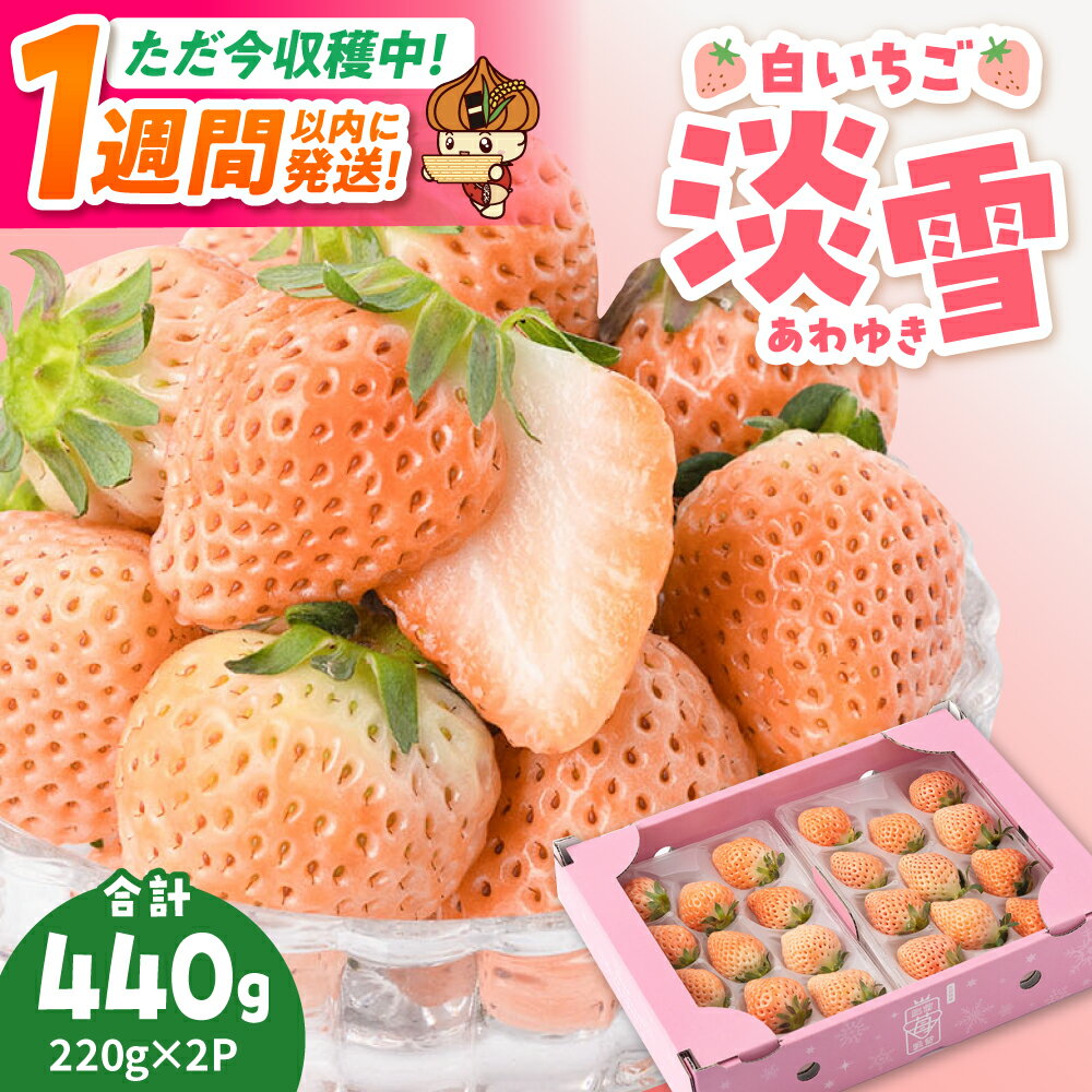 【ふるさと納税】【スピード発送】【農家直送】ほんのりピンク白いちご希少な「淡雪」220g×2パック【岸川農園】イチゴ 白イチゴ 苺 果物 フルーツ 佐賀県 白石町 白石 [IAP005]