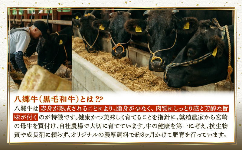 【全3回】【宮崎県創業40年 平家の郷】宮崎県産黒毛和牛定期便 焼肉 ステーキ ハンバーグ