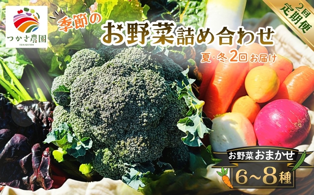 
                  【定期便2回（夏・冬）】つかさ農園 季節のお野菜詰め合わせ（6～8種） ※北海道・沖縄・離島への配送不可
                