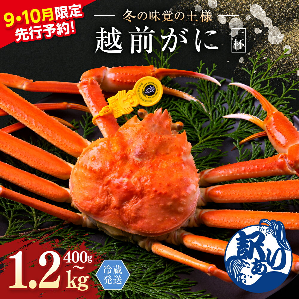 【ふるさと納税】先行予約〈9月・10月期間限定規格〉越前がに (オス) ずわいがに 400g～1.2kg以上 選べる 正規 訳あり 選択 / 送料 無料 福井県 越前市 武生 かに カニ 蟹 越前かに 越前ガニ 越前カニ ズワイガニ 雄 不揃い 傷 足折れ 発送時期が選べる 年内配送(18209)
