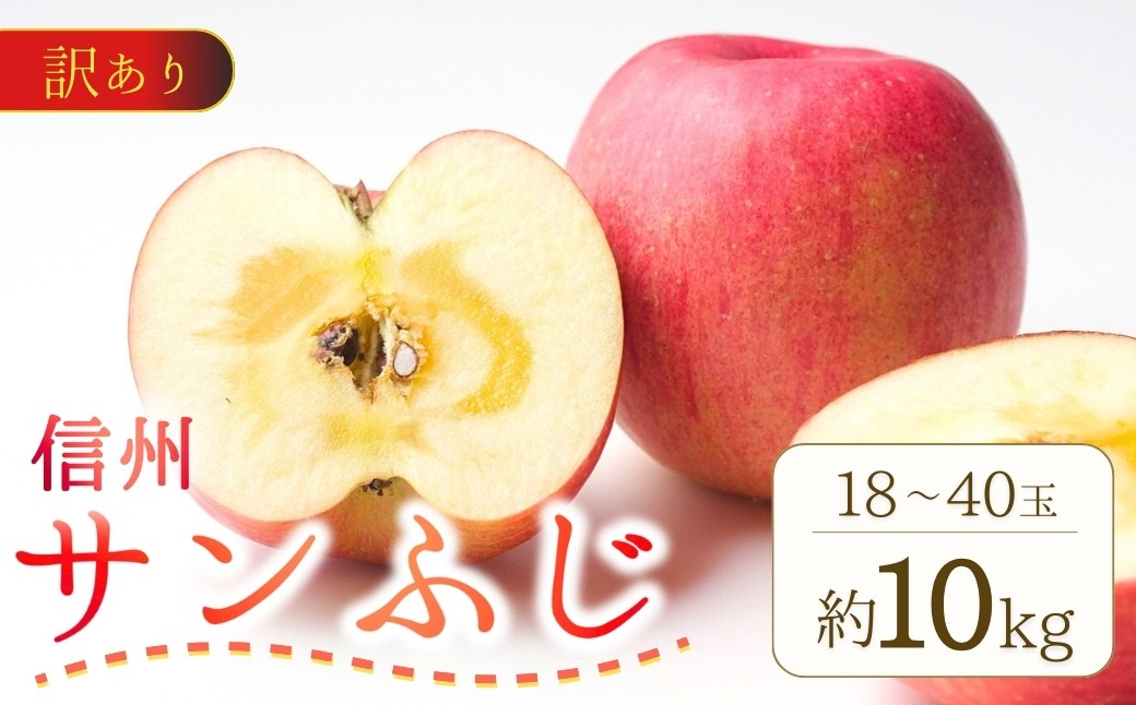 
                  【2026年先行予約】訳あり りんご サンふじ 約10kg (18~40玉)  ｜ さんふじ フルーツ 果物 信州りんご 産地直送 千曲市 長野県産 信州
                