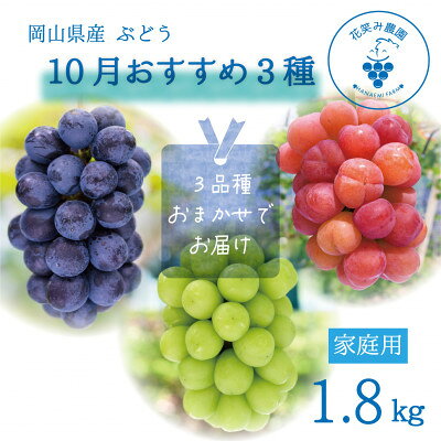 【ふるさと納税】【2026年先行予約】岡山　花笑み農園の『10月おすすめ3種』家庭用　1.8kg(3房)3M-2L家【配送不可地域：離島】【1695419】