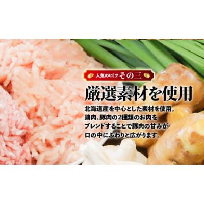ふるさと納税 苫小牧市 【ぎょうざの宝永】宝永餃子250g入(10個入)×4袋　合計1kg |  | 03