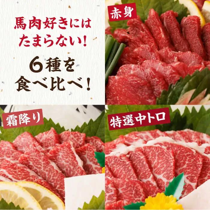 【6回定期便】馬刺し 特盛！バラエティセット 6種類 5・6人前 【馬刺しの郷 民守】 馬肉 熊本県 特産品 馬刺し [ZBL077]