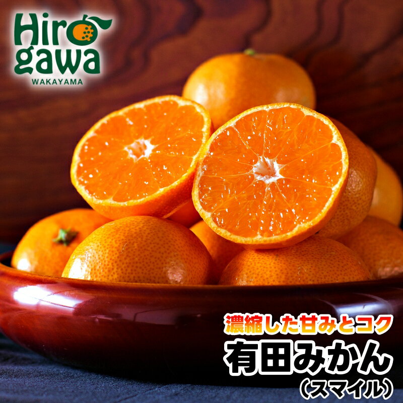 【ふるさと納税】 有田 みかん 秀品 / 温州みかん 有田みかん 甘い 和歌山 柑橘 3kg 5kg 10kg 10000円 ※11月下旬～1月中旬に順次発送 //mandarin