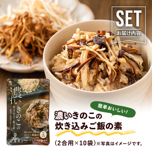 国産のえのきやきのこ使用！濃いきのこの炊き込みご飯の素(2合用×10袋) 国産 だし醤油 きのこご飯 椎茸 しいたけ 【三笠えのき茸生産組合】akn010-17