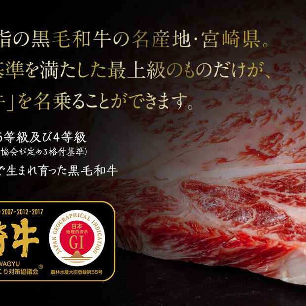 宮崎牛 肩 カタ 焼肉 400g [日本ハムマーケティング 宮崎県 美郷町 31bd0016] 冷凍 送料無料 国産 黒毛 和牛 A5 A4等級 ブランド 牛 肉 霜降り 焼肉 BBQ バーベキュー_