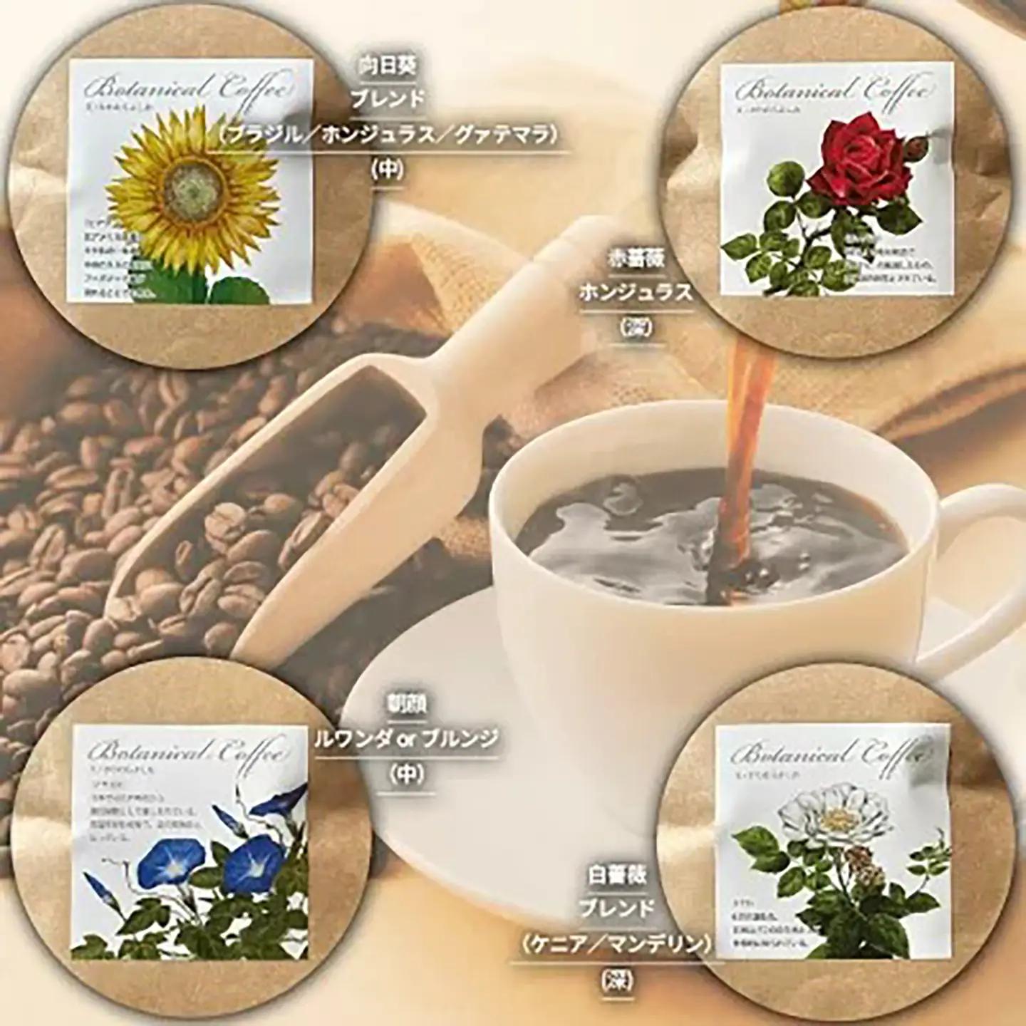 コーヒー豆 季節の草花珈琲 中細挽き 100g×4種 計400g コーヒー