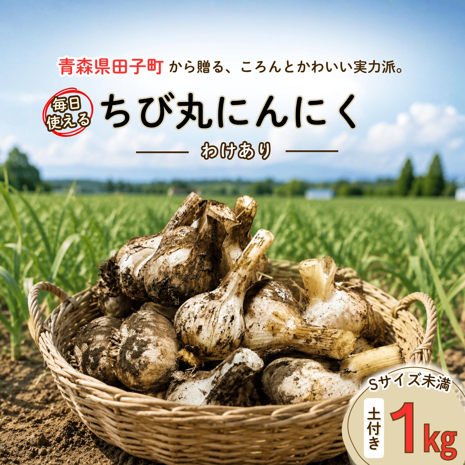 【ふるさと納税】わけあり　毎日使える　青森県田子町産　ちび丸にんにく　出荷開始：10月20日～3月31日