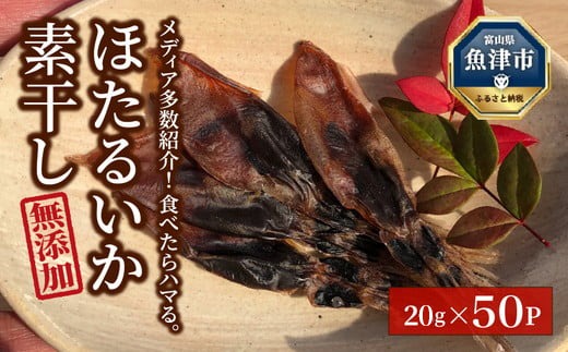 ホタルイカ素干1kg（20g×50袋）：浜浦水産シェアセット　※北海道、沖縄、離島への配送不可