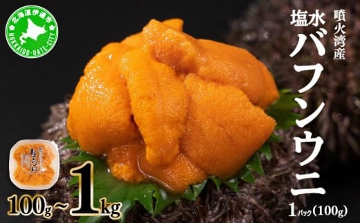 
                  ＜ 順次配送 ＞北海道 噴火湾産 塩水 バフンウニ 100g~1kg うに ミョウバン不使用 塩水うに ウニ 雲丹 北海道産 生バフンウニ
                