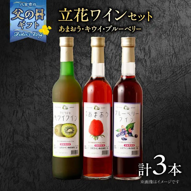 【6月8日～八女の日企画】 【父の日ギフト】ワイン3本セット【あまおうワイン、キウイワイン、ブルーベリーワイン】 父の日ギフト ギフト 贈り物 父の日 セット 純米酒 梅酒 立花町産 酸味 甘み バランス 上品 福岡県 八女市 066-005-C
