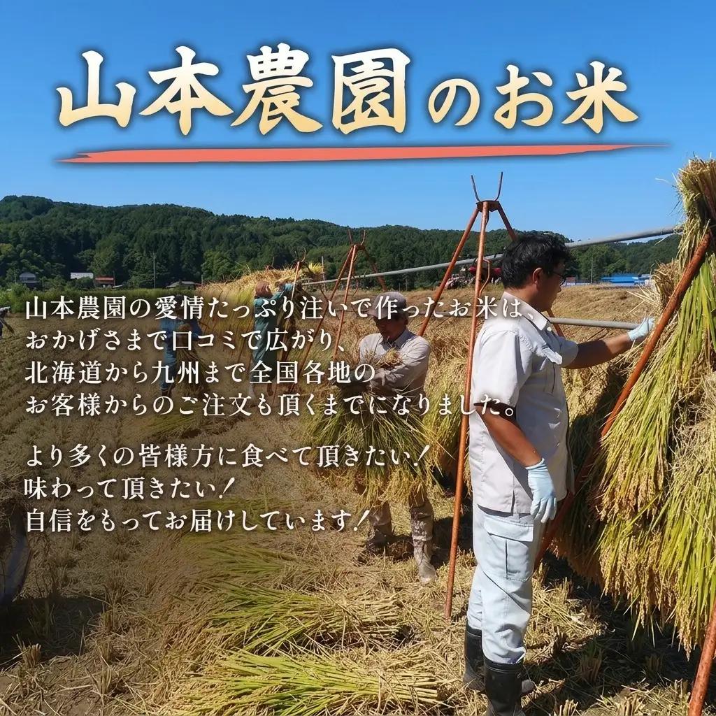山本農園 コシヒカリ 特別栽培米 10kg 精米 コシヒカリ