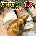 【ふるさと納税】 茨城県産 たけのこ 1.5kg （ 米ぬか 付き） 国産 タケノコ 筍 野菜 煮物 炊き込みご飯 料理 旬