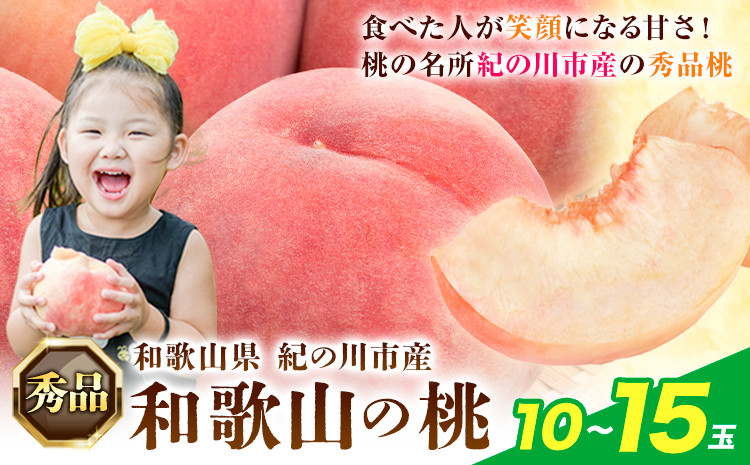 
            桃 もも モモ【秀品】先行予約 和歌山 桃 10～15玉入 ときわオンライン《2025年6月下旬～9月中旬頃出荷》和歌山県 紀の川市 フルーツ 果物 桃 お中元 贈り物 ギフト産地直送 農家直送
          