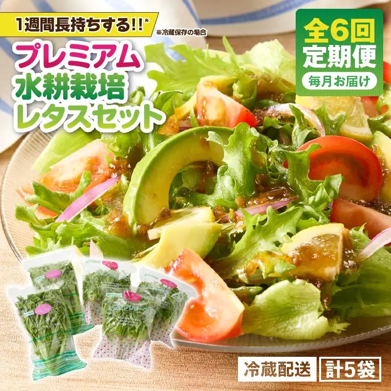 1627-2 【定期】洗わずに食べられるプレミアム水耕栽培レタス5袋を半年分（5袋×6か月＝30袋） KN064-T02 定期便 サラダ 野菜 レタス 旭信興産 ふるさと納税 鹿児島 鹿屋市 おすすめ ランキング プレゼント ギフト