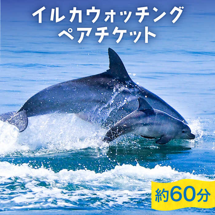 南島原 イルカウォッチング  ペアチケット / イルカ 観光 南島原市 / 南島原イルカウォッチング [SAE001]