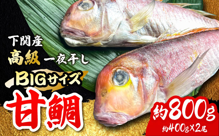 
            びっくりビッグサイズ！甘鯛一夜干し2尾（1尾あたり約400g） おつまみ 酒の肴 焼き物にぴったり 魚 魚介類 たい 甘鯛 一夜干し 干もの タイ 吉野ヶ里町/やきとり紋次郎 [FCJ075]
          