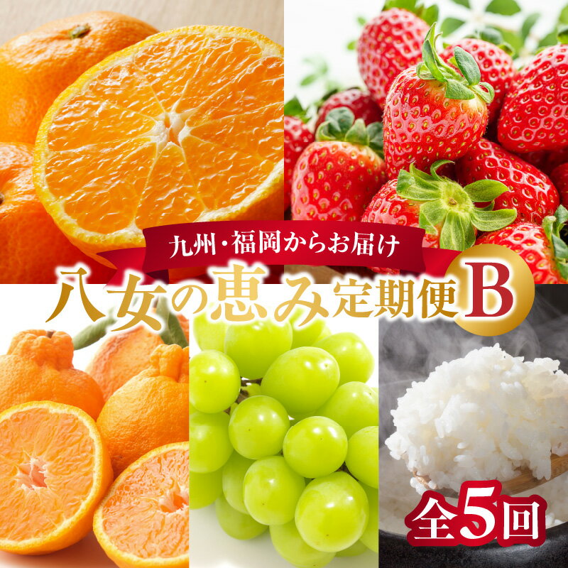 【ふるさと納税】九州・福岡からお届け！お楽しみ八女の恵み定期便【全5回】 B みかん あまおう いちご 苺 イチゴ 不知火 デコポン シャインマスカット お米 米 新米 産地直送