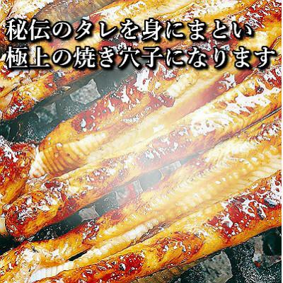 ふるさと納税 備前市 【2025年2月下旬発送】訳あり 国産 炭火焼きあなご 400g 6〜12本入 小タレ付 |  | 02