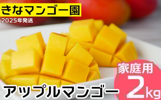 2025年発送【きなマンゴー園】アップルマンゴー　家庭用2kg以上 先行予約 完熟 マンゴー アップル 南国 沖縄 フルーツ くだもの 果物 果実 先行予約 産地直送 贅沢 濃厚 スイーツ デザート 旬の果物 ご家庭用 ご自宅用 国産 冷蔵