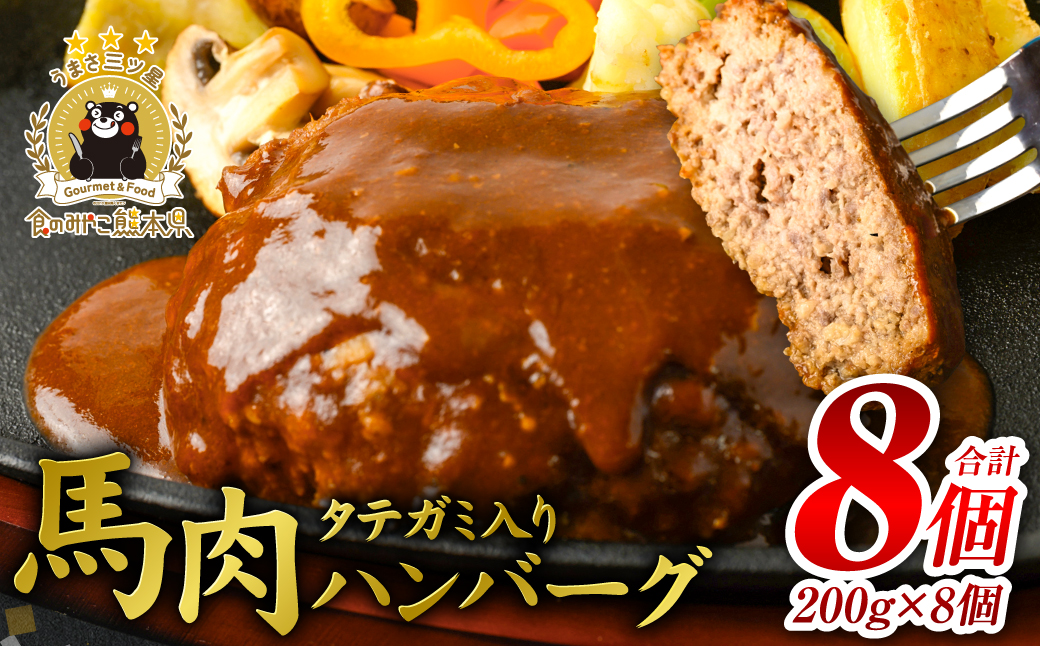 FN タテガミ入り 馬肉 ハンバーグ ( デミソース ) 8個 セット