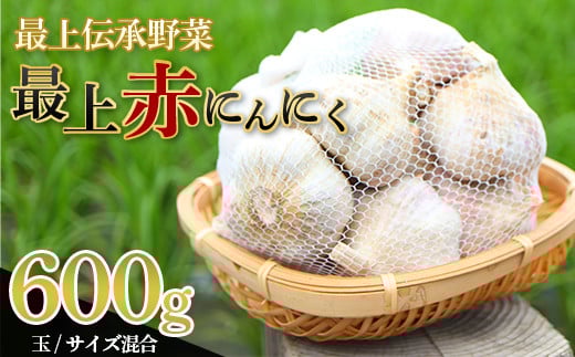 
            《2025年発送》 最上伝承野菜【最上赤にんにく】600g（玉）（M、L、2Lサイズ混合） にんにく ニンニク 薬味 ガーリック 野菜 F3S-2210
          