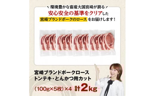 宮崎ブランドポーク ローストンテキ・とんかつ用カット 2kg 【 九州産 豚 ぶた 肉 ロース とんかつ トンテキ おうちごはん おうち時間 】[E11304]