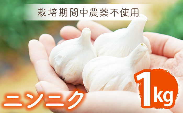 栽培期間中農薬不使用！ ニンニク 1kg【浅田峠自然塾】 [EA08]