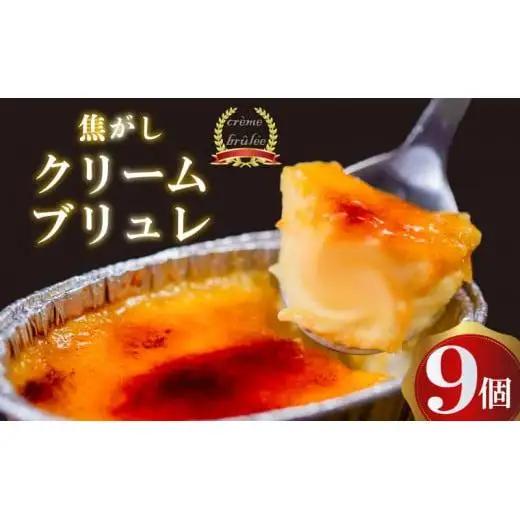 クレームブリュレ9個_スイーツ デザート ブリュレ 高知県 須崎 人気 美味しい セット ギフト プレゼント_【LF020】