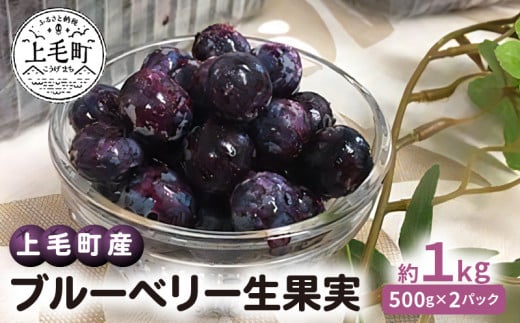 【叶え屋】 上毛町産 ブルーベリー 生果実 500g×2パック　K01401 