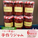 【ふるさと納税】イチゴ農家の手作りジャム ゴロゴロ食感のいちごジャム6本セット 【 ふるさと納税 人気 おすすめ ランキング 果物 いちご苺 イチゴ 国産いちご いちごジャム セット おいしい 美味しい 北海道 豊浦町 送料無料 】 TYUI001