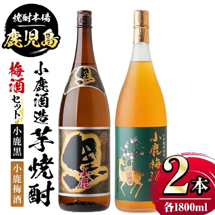 小鹿酒造芋焼酎 梅酒セット 小鹿黒・小鹿梅酒(各1800ml・計2本) 鹿児島 国産 酒 アルコール 焼酎 芋焼酎【株式会社きもつき未来商社そらまち】A44006