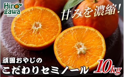 ▼セミノールオレンジ 10kg（サイズ混合） ※4月中旬～5月中旬頃より順次発送予定  /  オレンジ 産地直送 みかん 旬 蜜柑 ミカン 柑橘 果物 フルーツ 和歌山県 広川町【krf016-r-10A】